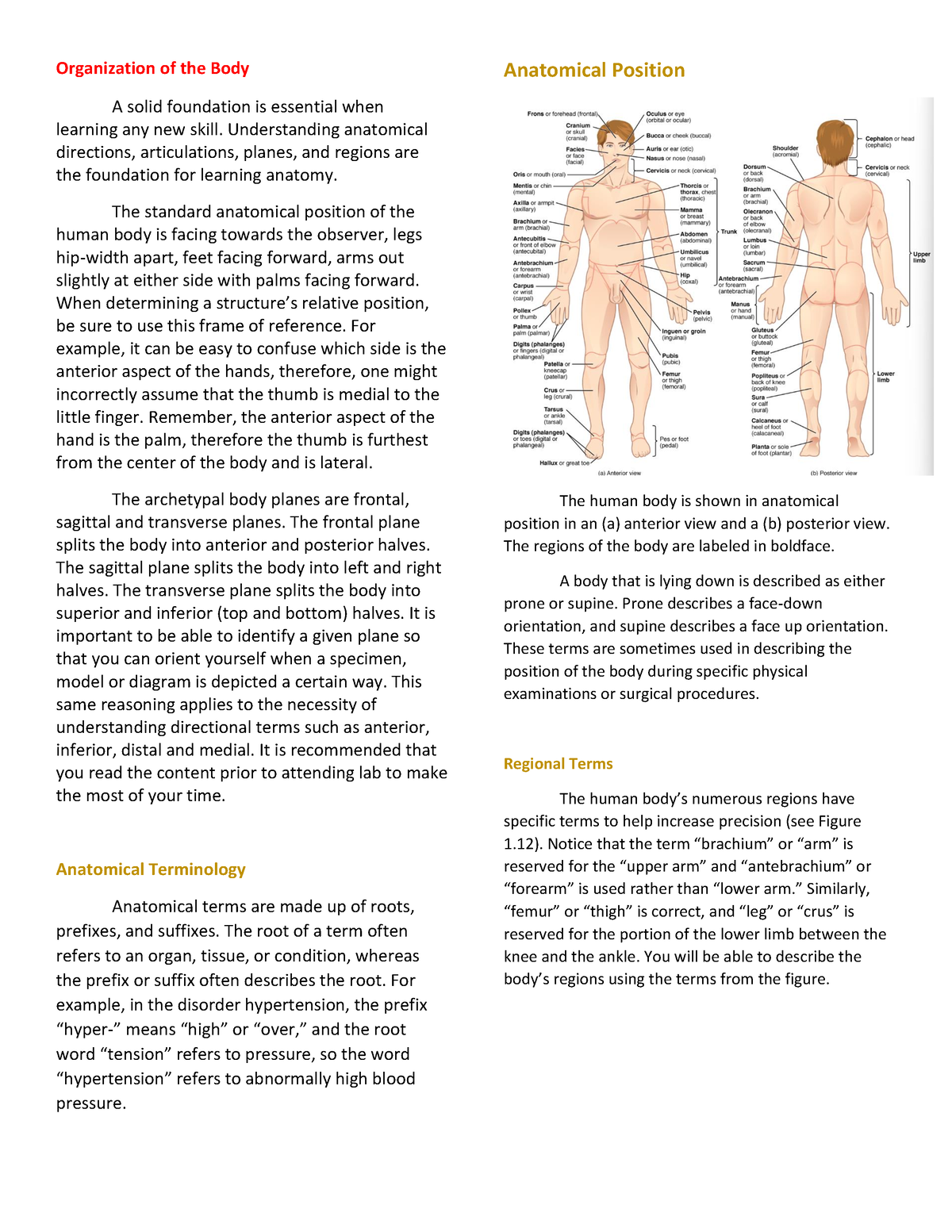 Organization of the Body - Understanding anatomical directions ...