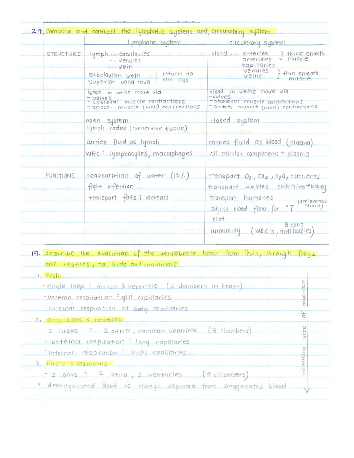 3 circulatory respiratory answers - EOSC114 - Part of Question 35 ...