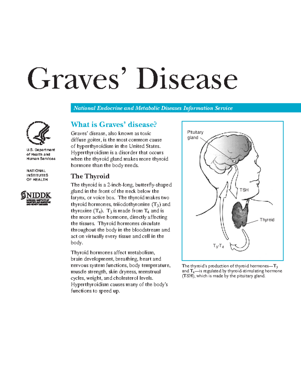 Graves 508 good summary Graves’ Disease National Endocrine and