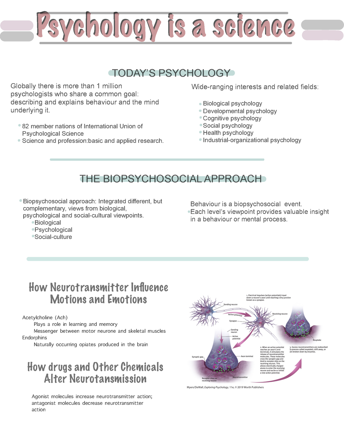 Psychology Is A Science - The Biology Of Behaviour - Psychology Is A ...