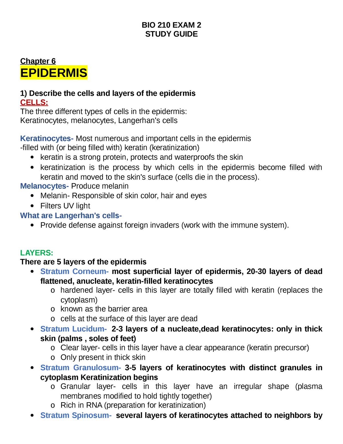 BIO 210 EXAM 2 Study Guide.doc - BIO 210 EXAM 2 STUDY GUIDE Chapter 6 ...