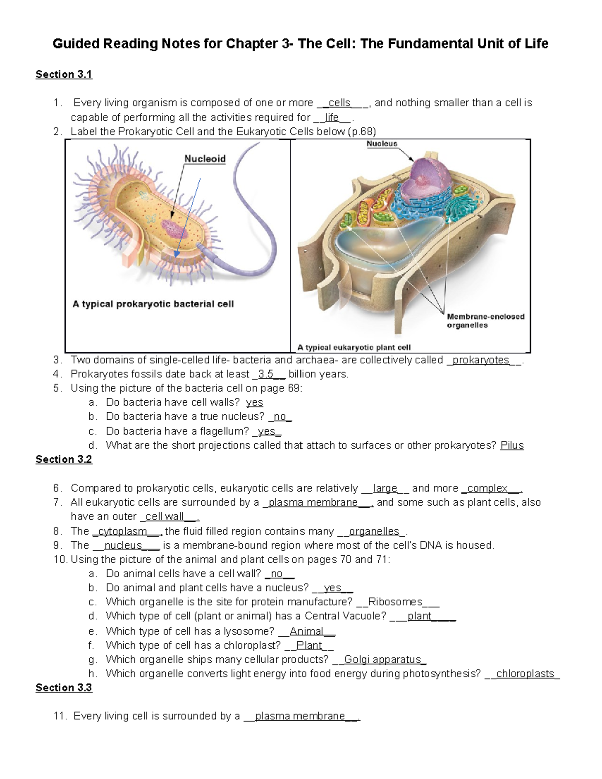 CH 3 HW Notes 3 - Homework Questions - Guided Reading Notes For Chapter ...