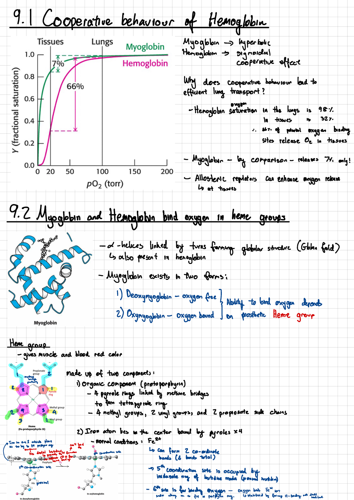 Chapter 9- Hemoglobin, An Allosteric Protein - 9. 1 Cooperative ...