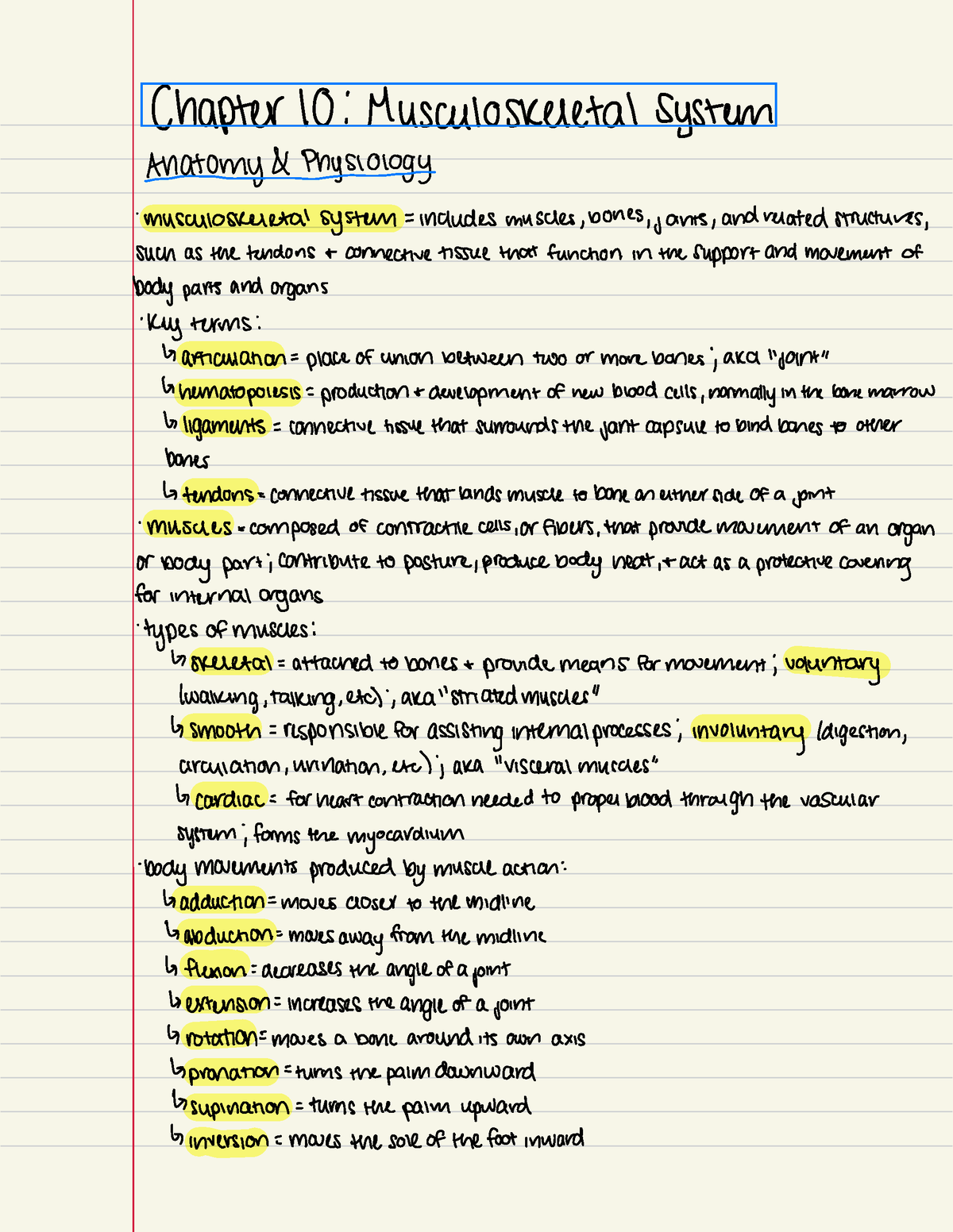 Medical Terminology Musculoskeletal System - Chapter 10:Musculoskeletal ...