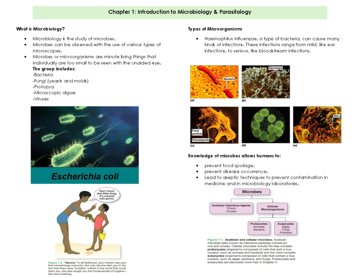 Chapter 1 - Reviewer - What Is Microbiology? - Microbiology Is The ...