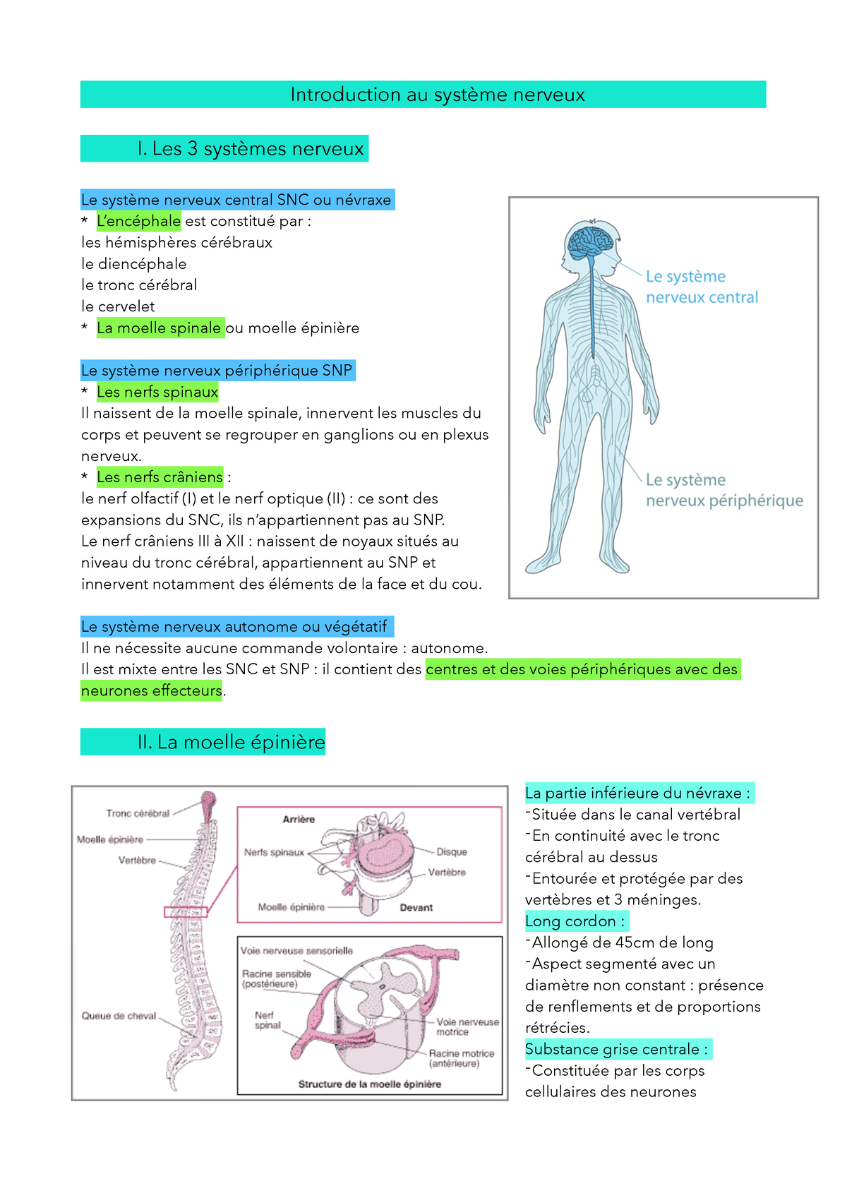 Introduction Au Système Nerveux - Les 3 Systèmes Nerveux Le Système ...