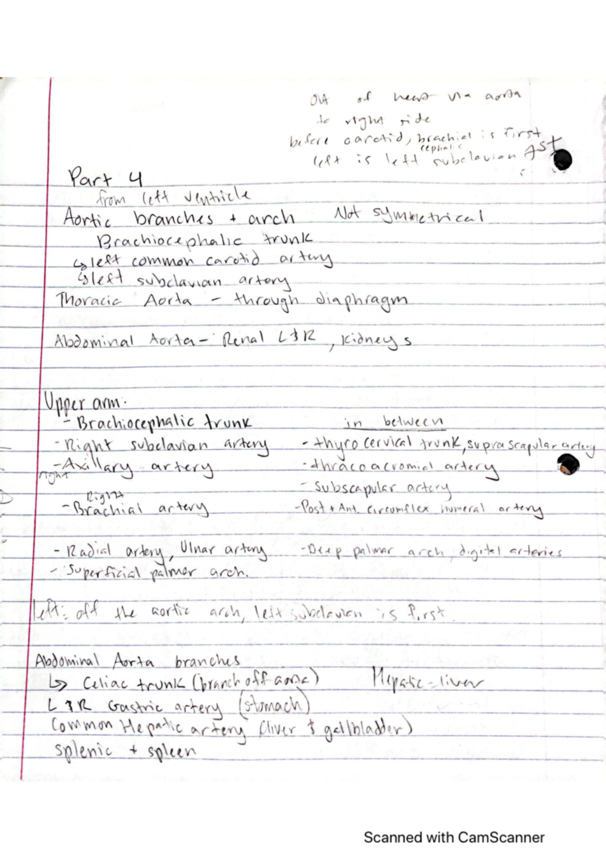 Chapter 21 Part 4 Anatomy And Physiology 2 - BIO 153 - Studocu