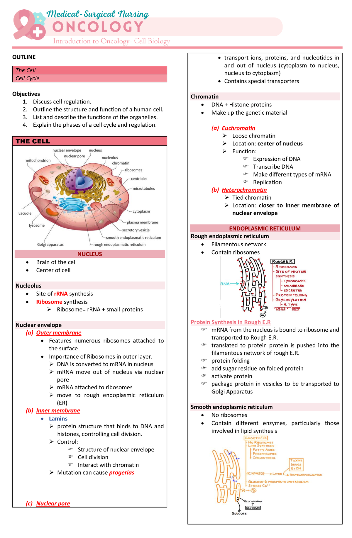 Oncologybhshsjsss - Introduction to Oncology- Cell Biology OUTLINE The ...