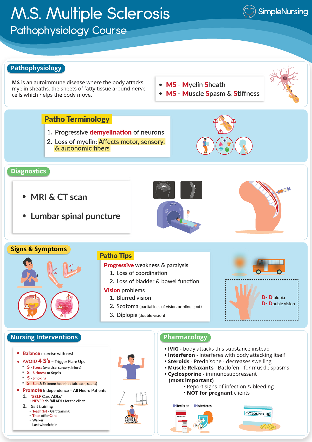 Patho Neuro Ms Multiple Sclerosis M Multiple Sclerosis