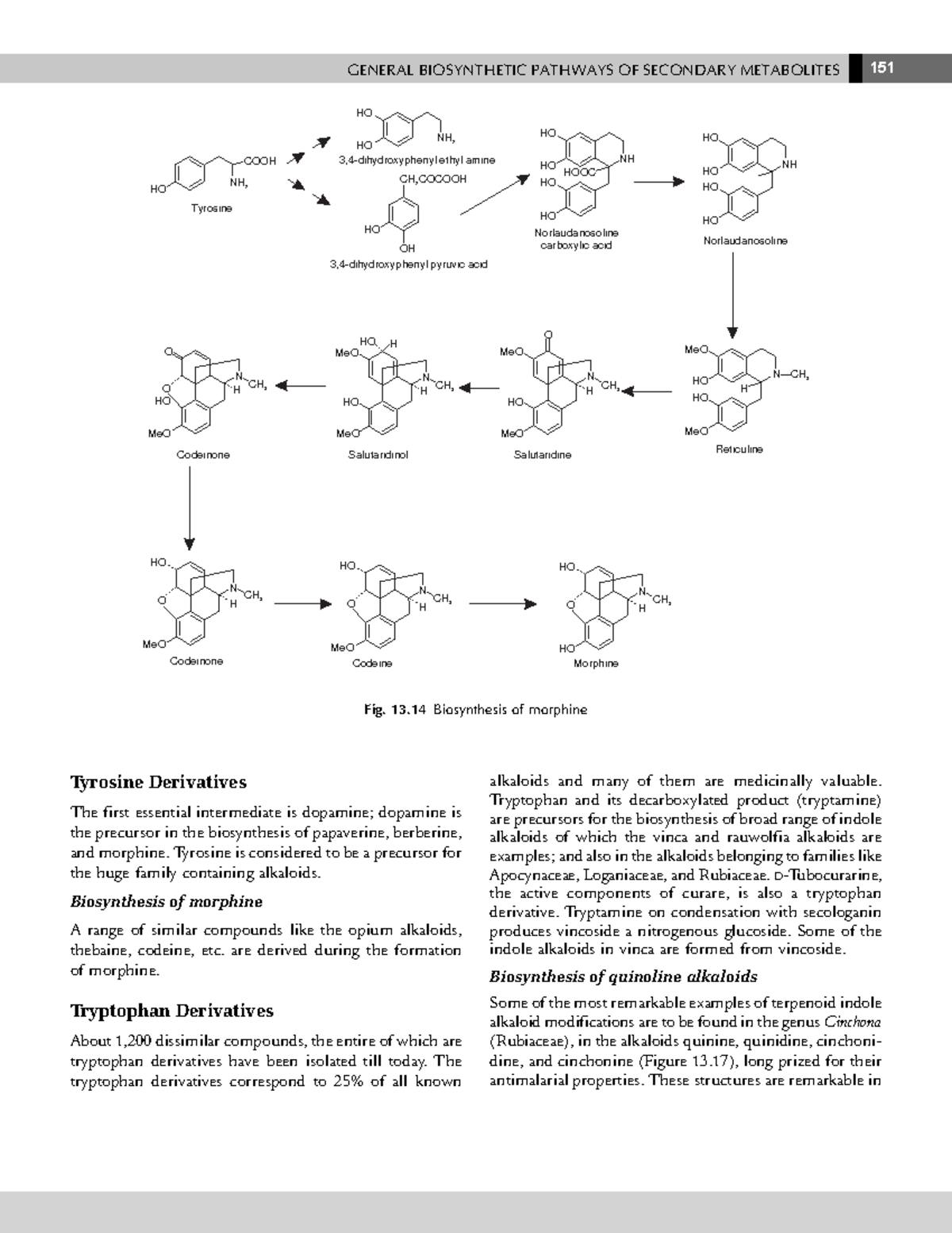 160-162 - Pharmacognosy - GENERAL BIOSYNTHETIC PATHWAYS OF SECONDARY ...