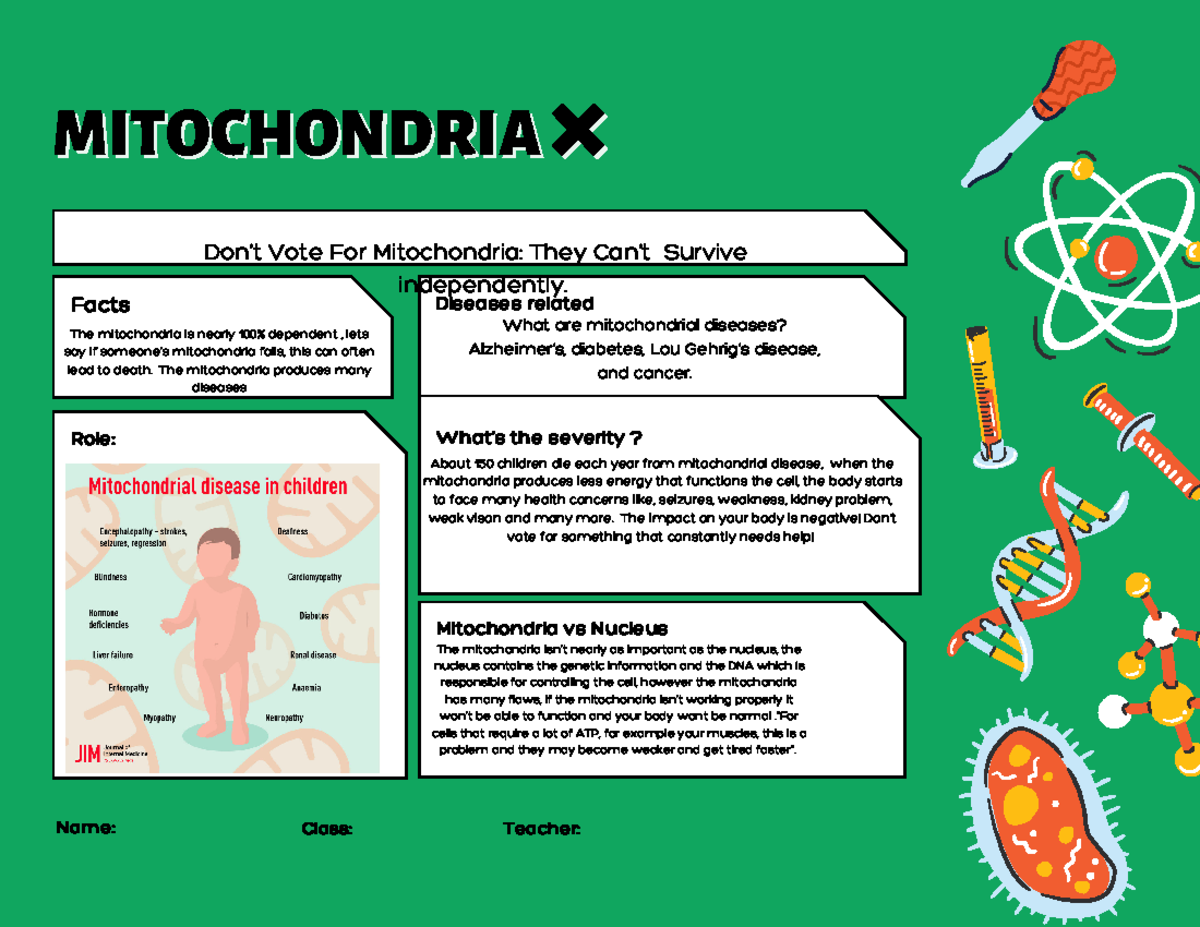 Mitochondria - The mitochondria is nearly 100% dependent , lets say if ...