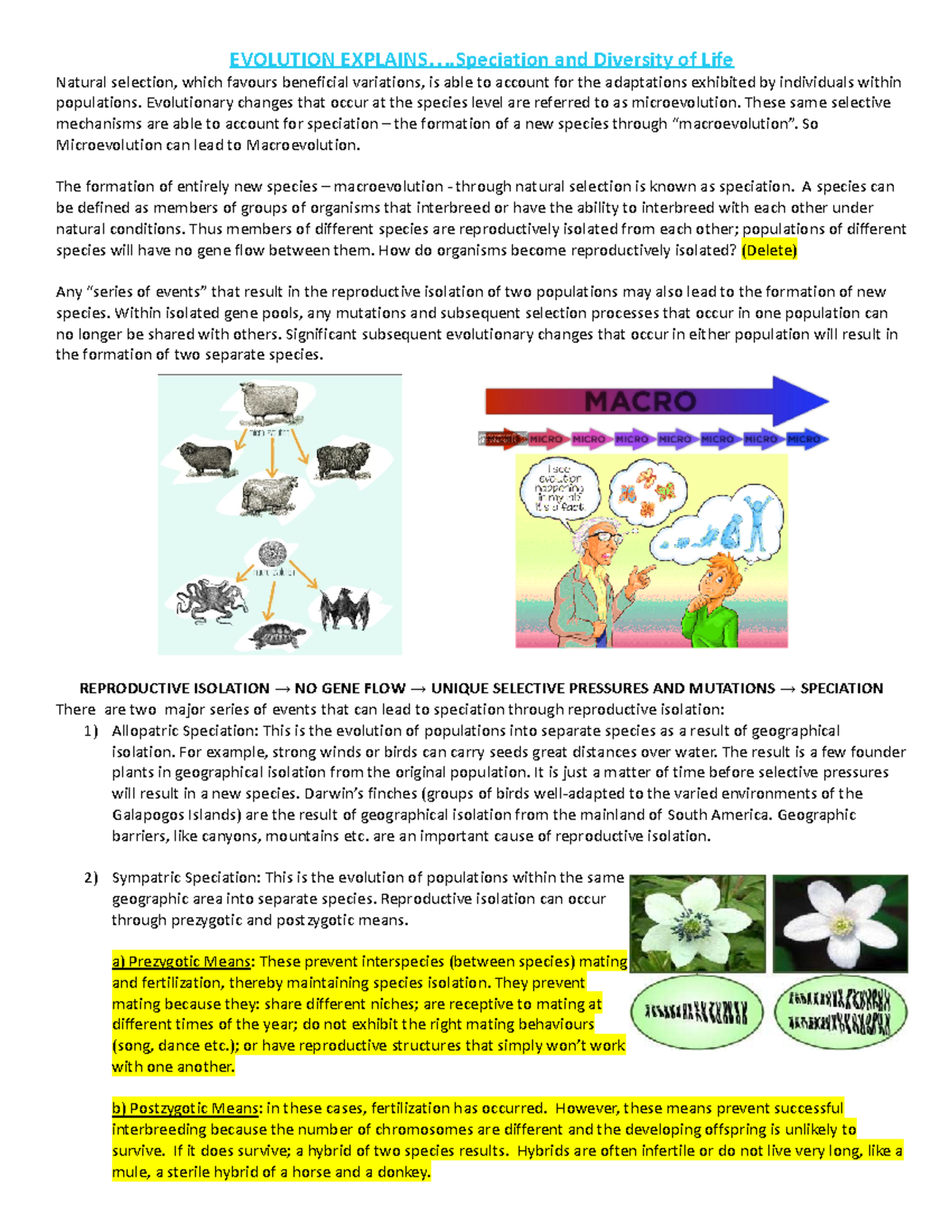 Copy of Evolution explains Speciation and Diversity of Life-1 ...