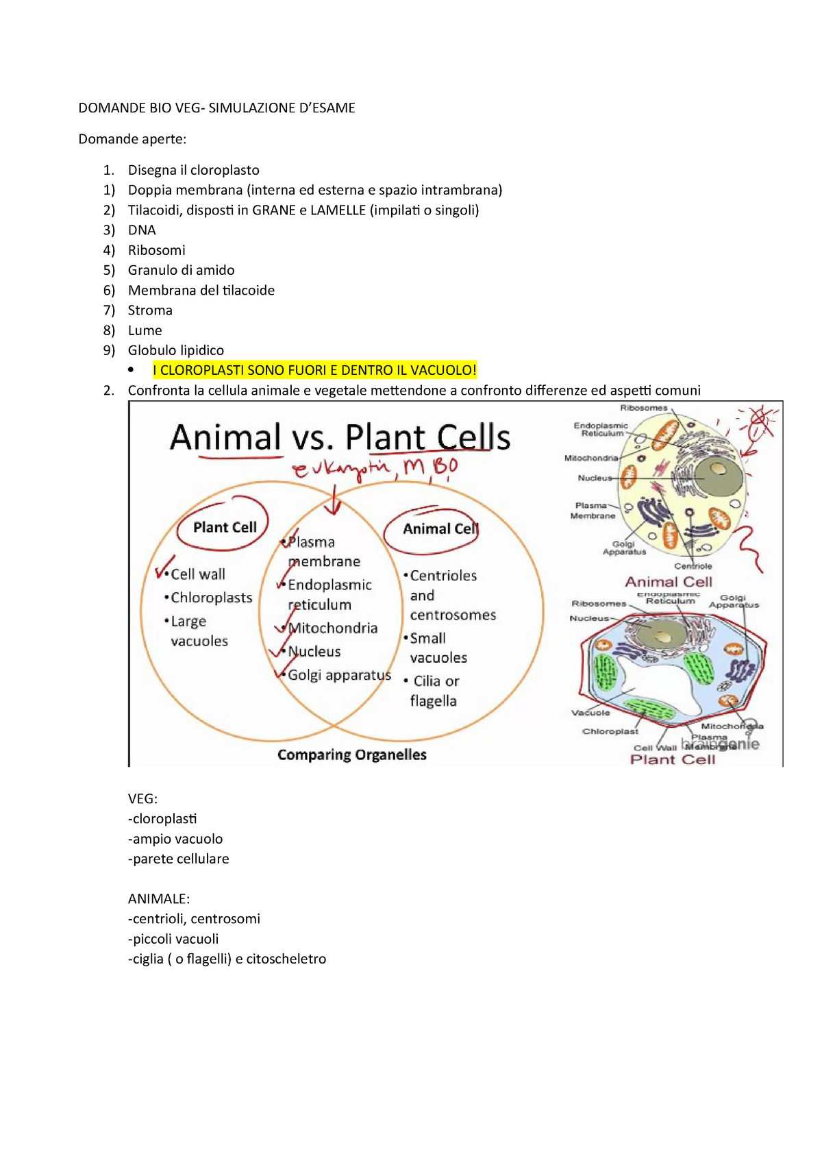 Domande Esame Biologia Vegetale Pinnola Studocu