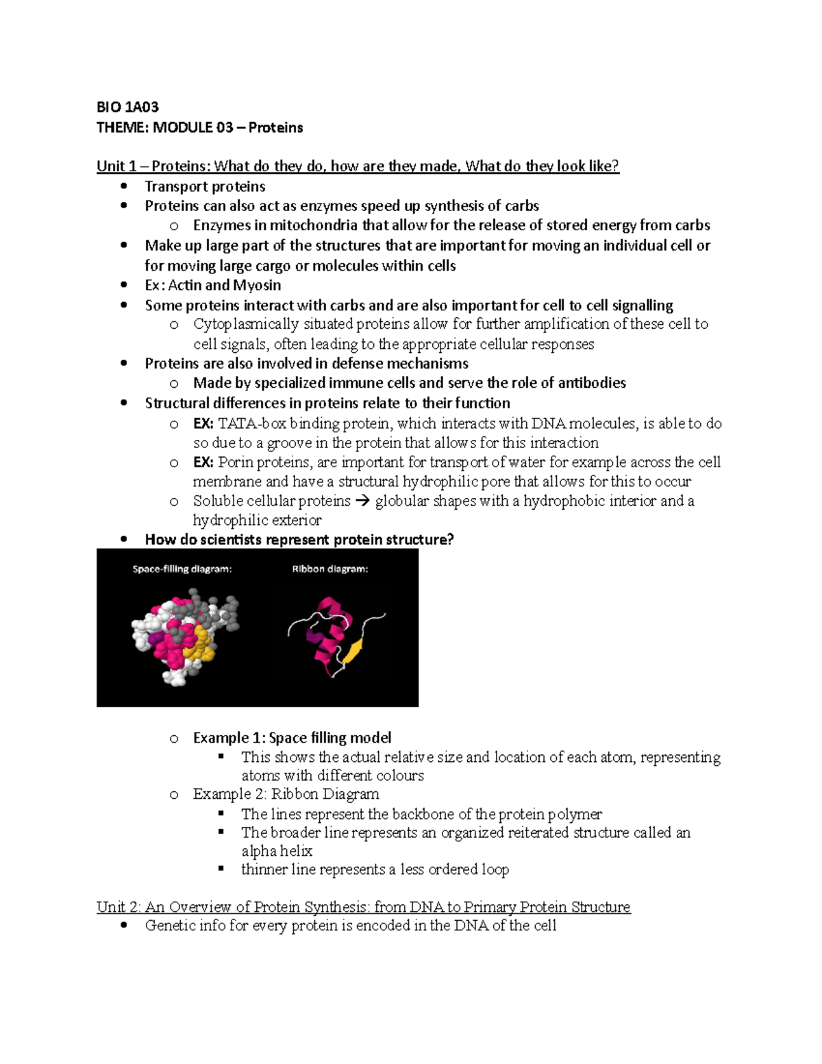 BIO 1A03 - Theme 1 Module 03 - BIO 1A THEME: MODULE 03 – Proteins Unit ...