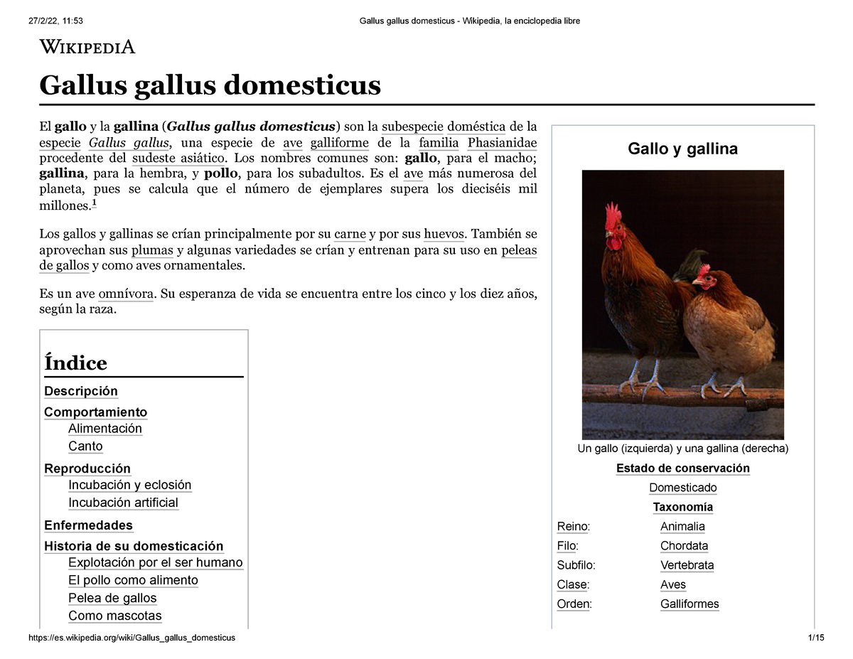 Pollo asado - Wikipedia, la enciclopedia libre
