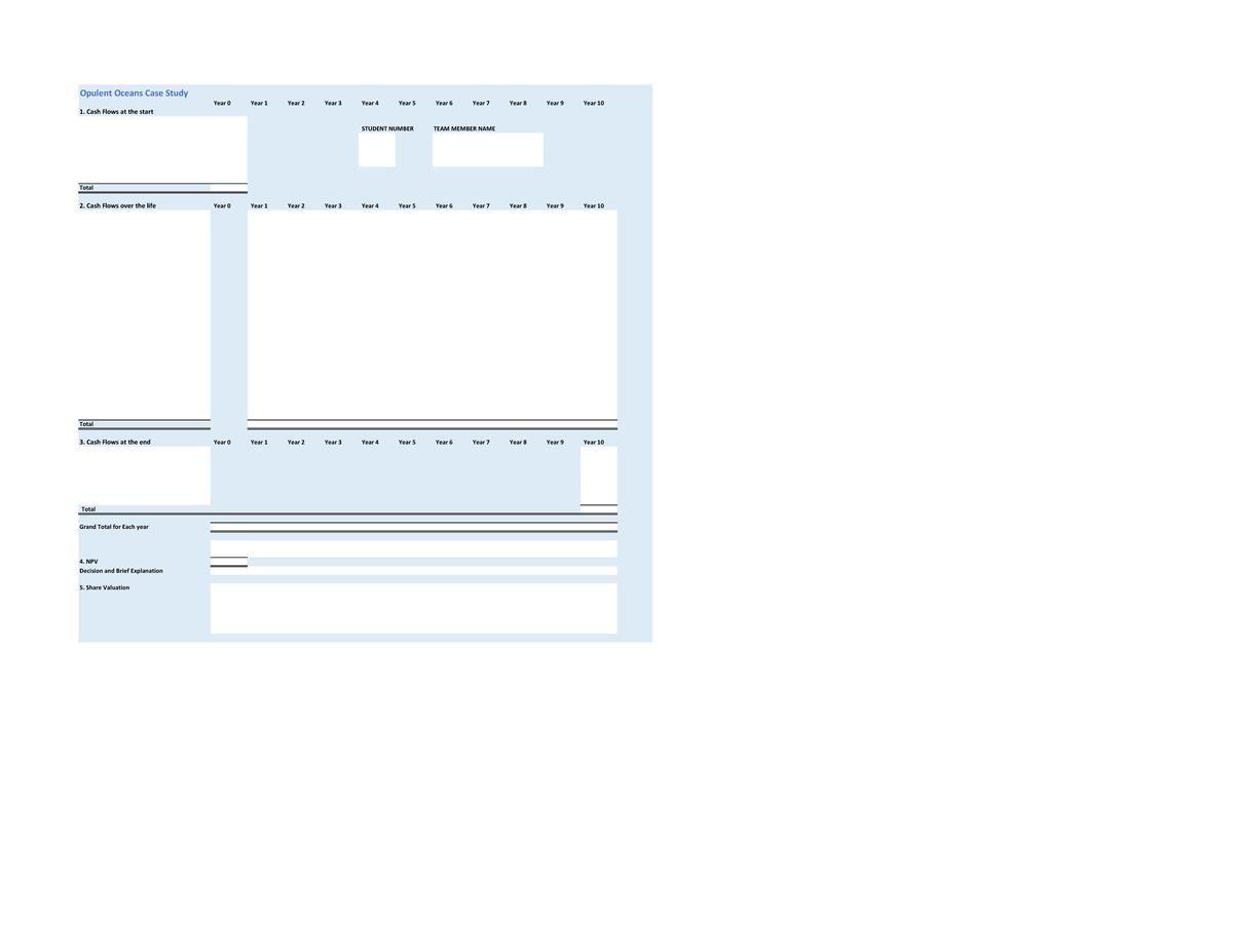 25799 Group Case Study Excel Template Autumn 2024 Opulent Oceans Case