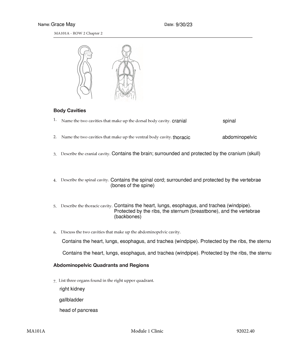 MA101 A ROW 2 Chapter 2 - MA101A - ROW 2 Chapter 2 Body Cavities 1 ...