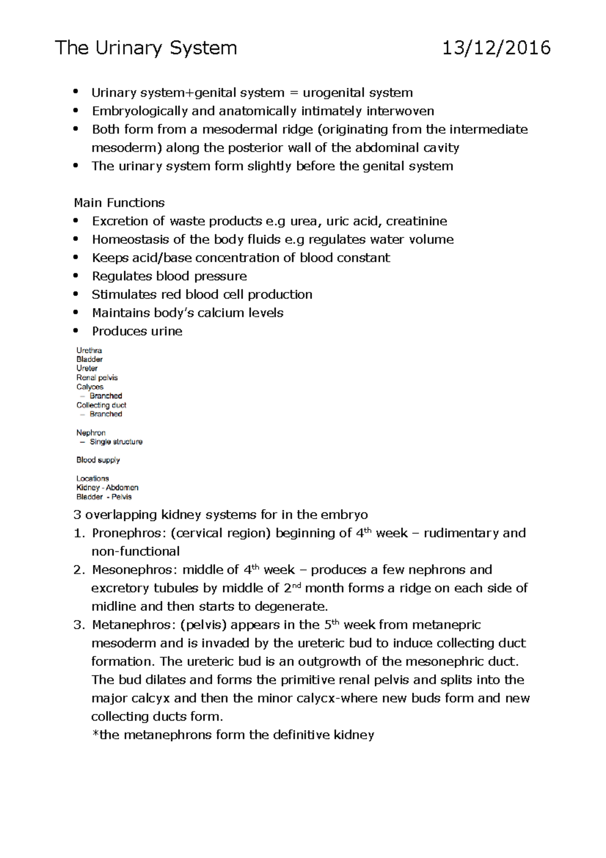 Urinary, respiratory, digestive - The Urinary System 13/12/2016 Urinary ...