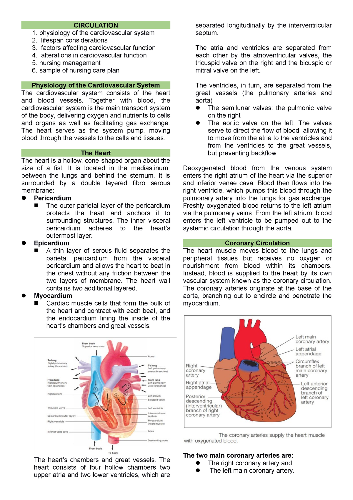 Circulation - ..... - CIRCULATION physiology of the cardiovascular ...