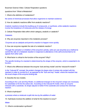 Chapter 7- Sedimentary Rocks (Homework)(GLY1010) - GLY 1010 - Studocu