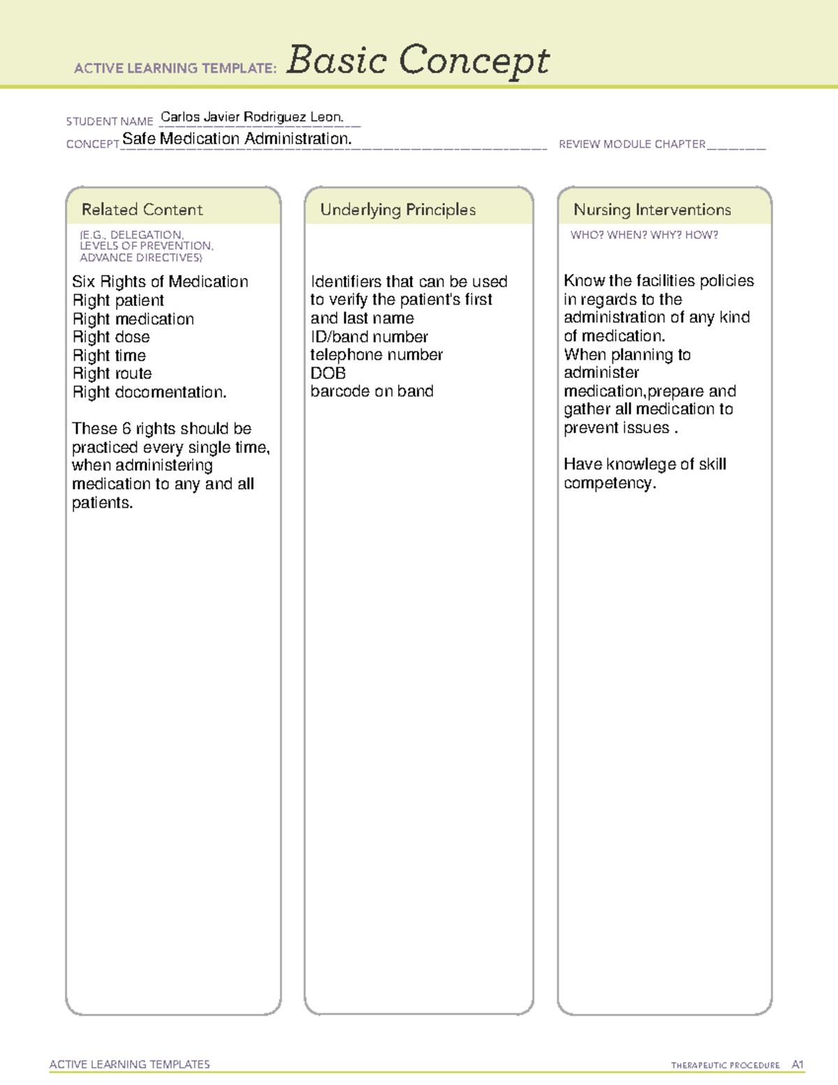 Template 2 - Required Assignments for the course. - MSN6010L - ACTIVE ...