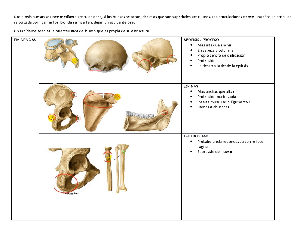 3 Accidentes Óseos En El Estudio De Casos Clinicos - Biología II ...