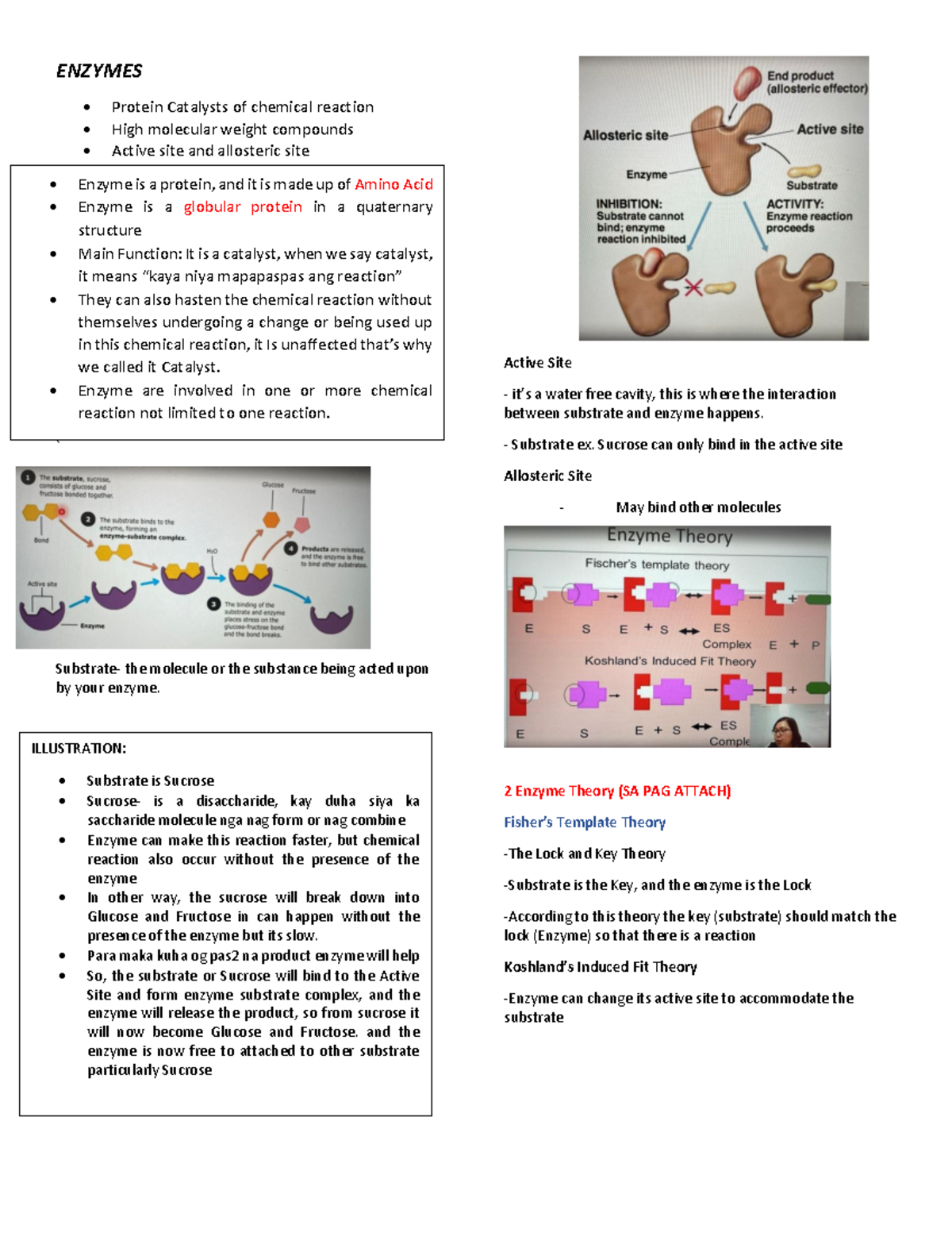 Clinical Enzymes ENZYMES Protein Catalysts of chemical reaction High