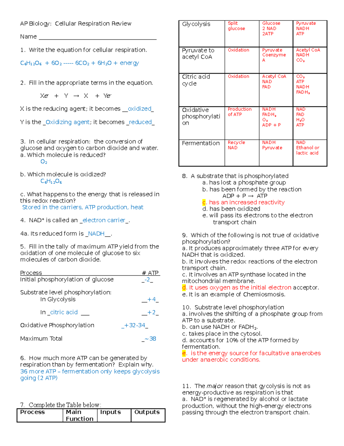 IB Respiration Review Key - AP Biology: Cellular Respiration Review ...