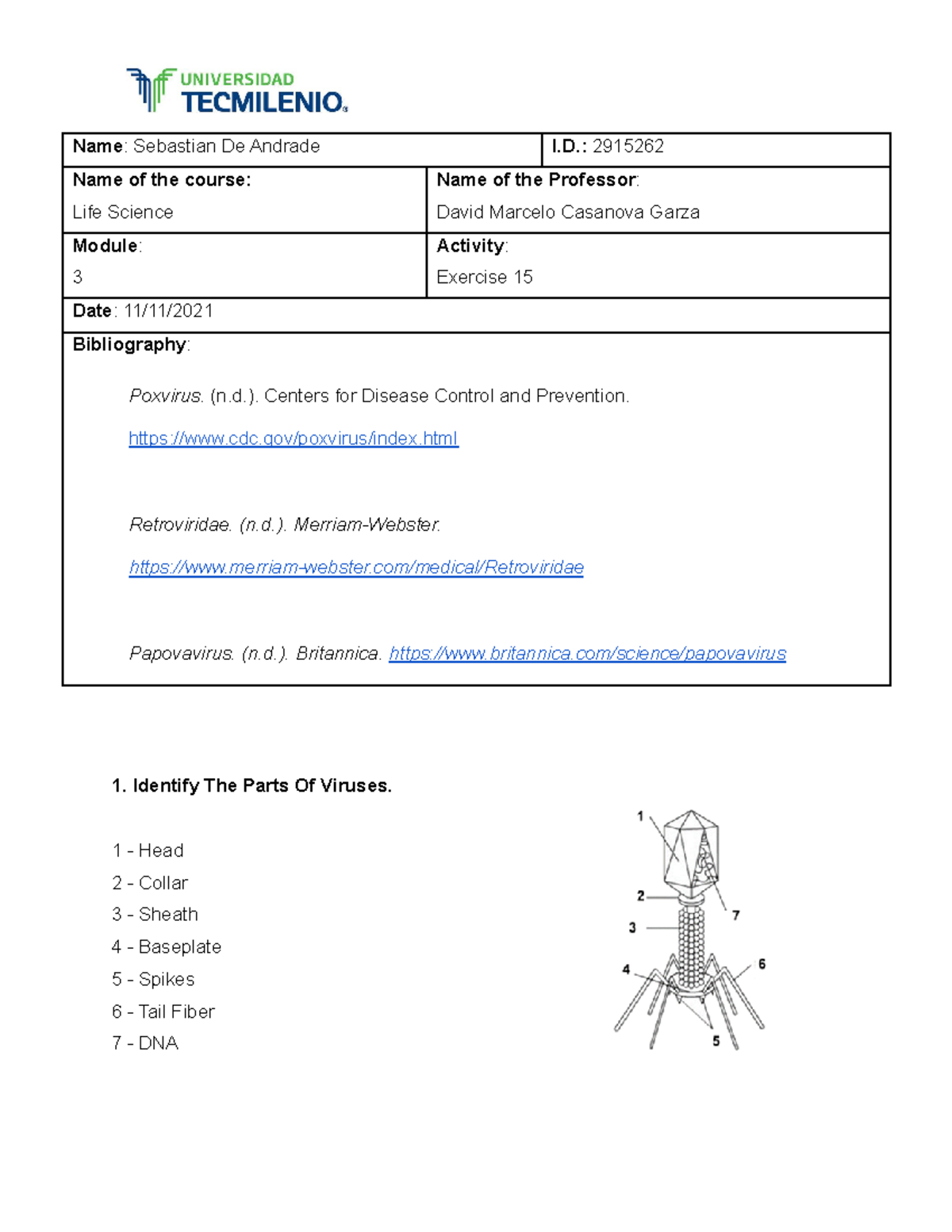 Life Science Exercise 15 life science TecMilenio Studocu
