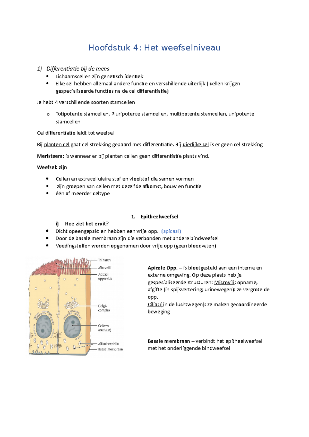 Hoofdstuk 4 - Dit Is Een Samenvatting Van De Weefsel Bij Celbiologie ...