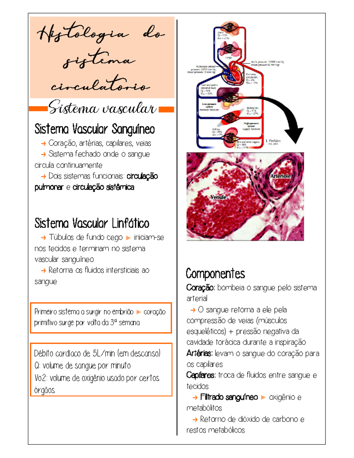 Histologia Do Sistema Cardiovascular Resumo Imprimir Warning Tt Undefined Function 32 0512