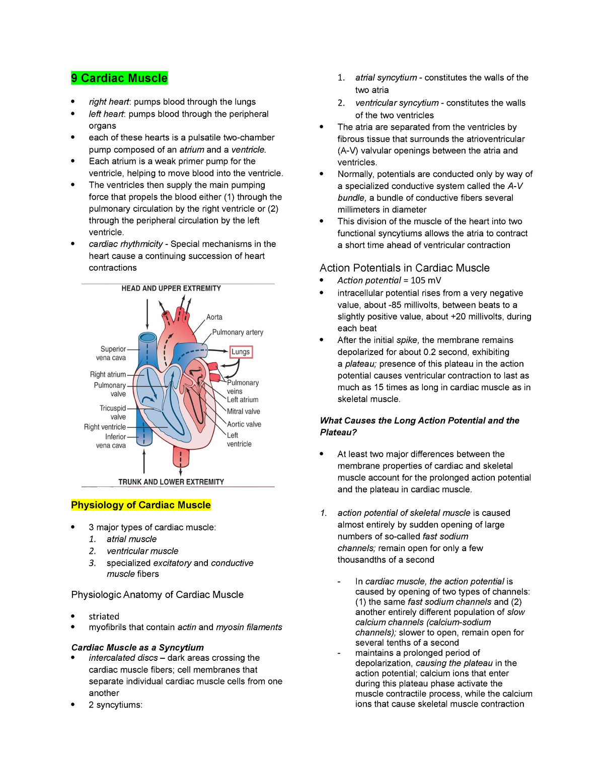 Physiology On Cardiac Muscle 9 Cardiac Muscle Right Heart Pumps