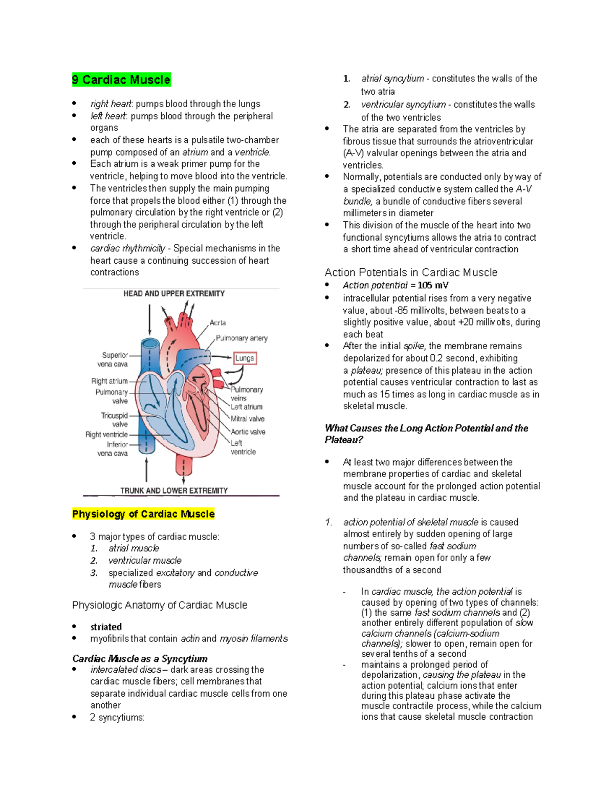 Physiology On Cardiac Muscle 9 Cardiac Muscle Right Heart Pumps