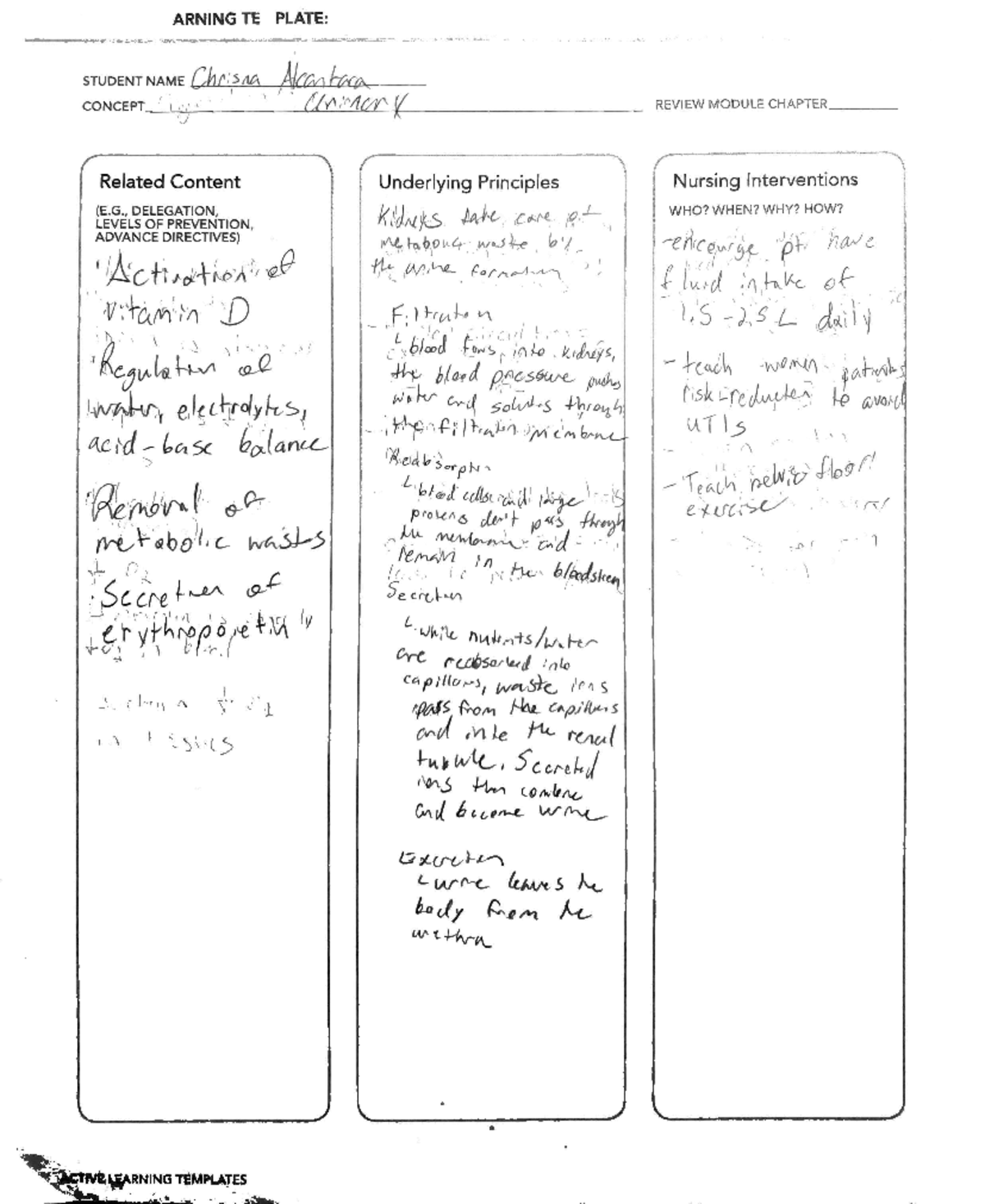 Urine concept map pathology 2021 - ARNING TE PLATE: STUDENT NAME ...