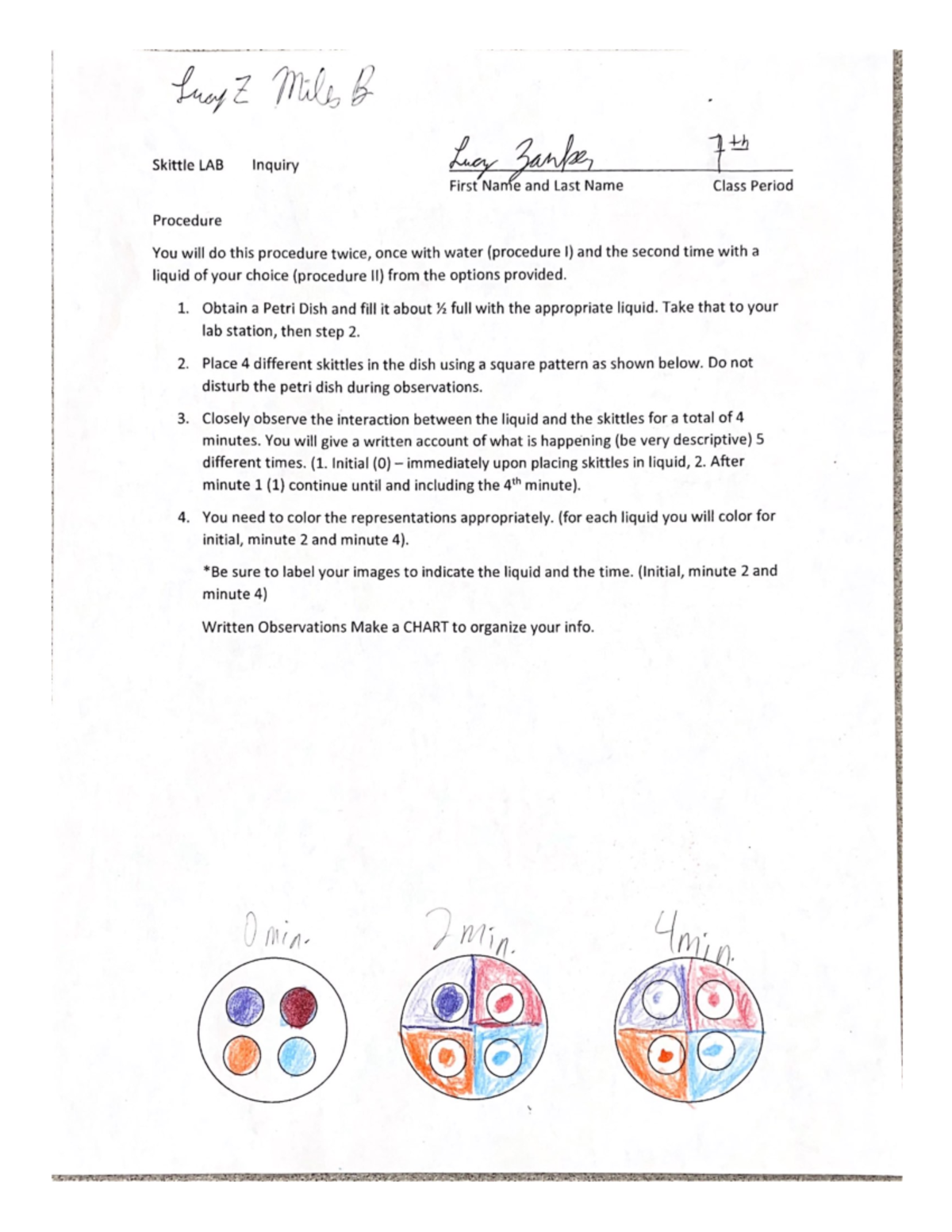 Skittle LAB Inquiry Studocu