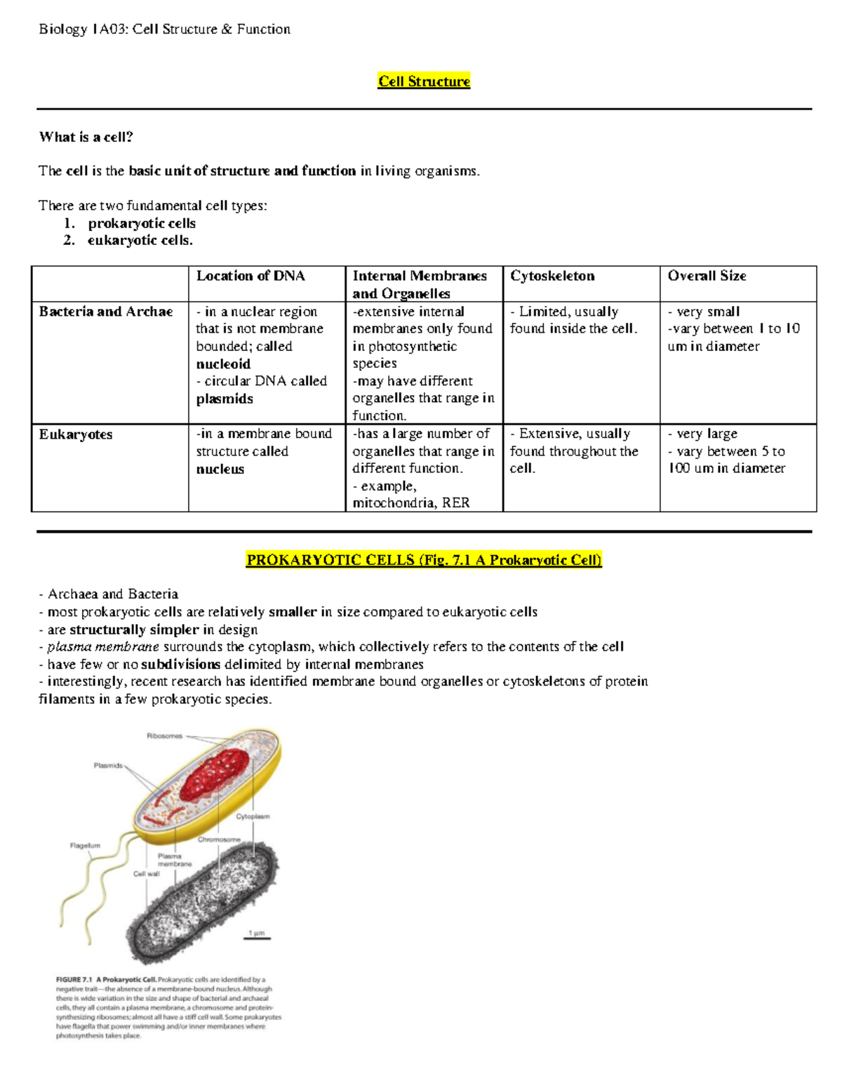 Summary Molecular Cell Biology - Cell structure - Biology 1A03: Cell ...