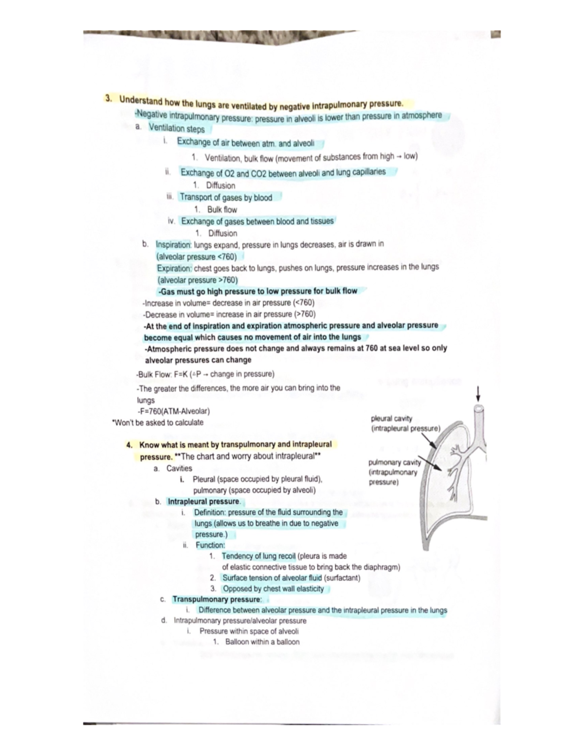 Lung - Notes on lung - 3. Understand how the lungs are ventilated ...