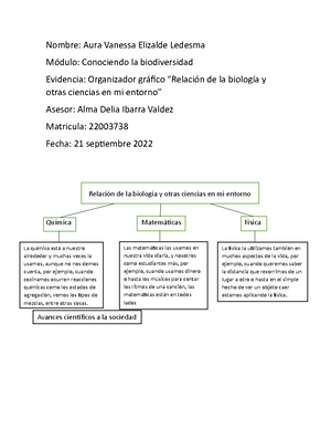 Organizador Gr Fico Relaci N De La Biolog A Y Otras Ciencias En Mi