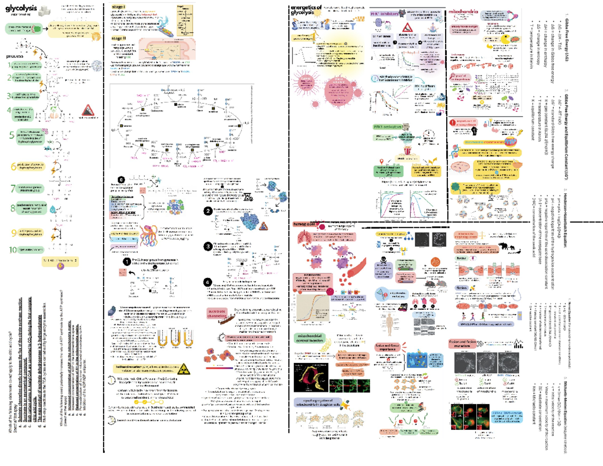 Cheat Sheet - Summary Cell Biology and Metabolism - Biol 201 - Studocu