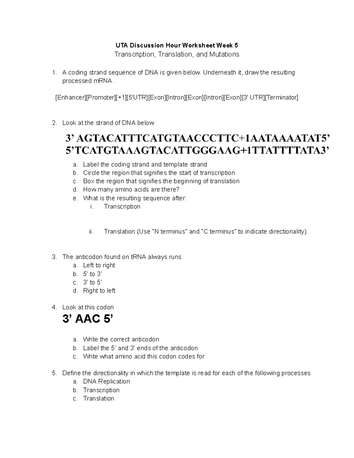 M RNA Transcription Worksheet - UTA Discussion Hour Worksheet Week 5 ...
