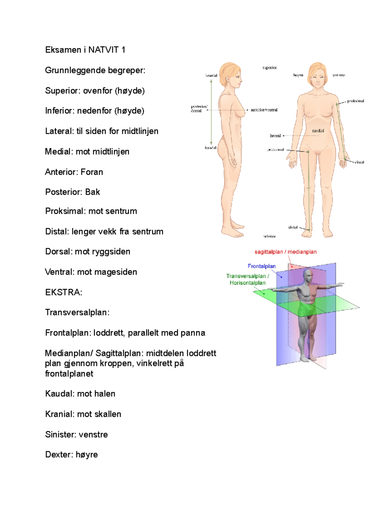 Eksamen i Natvit 1 - Eksamen i NATVIT 1 Grunnleggende begreper ...
