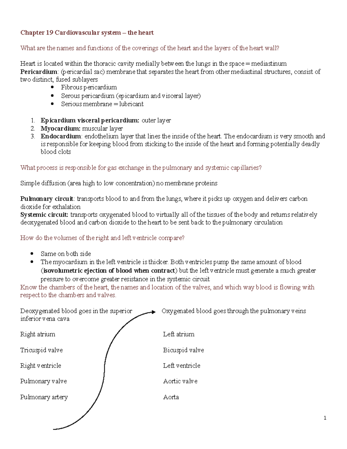 Chapter 19 Study Guide - Chapter 19 Cardiovascular System – The Heart ...