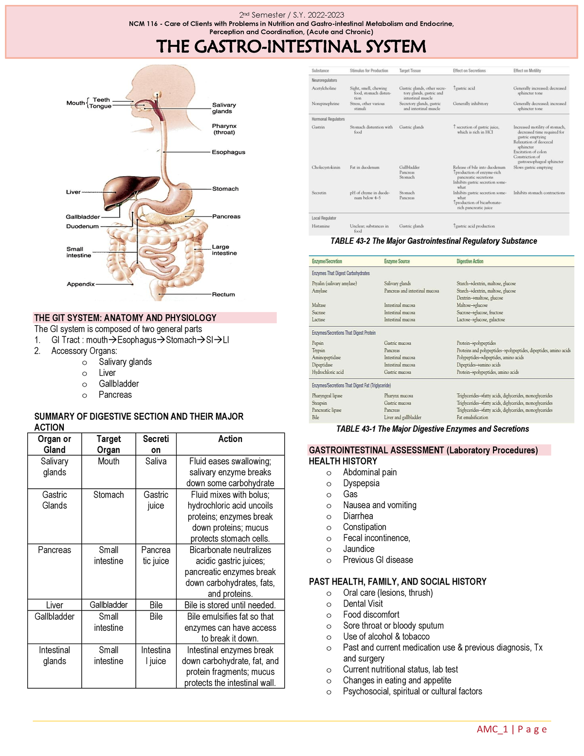 MS 2 prelims to semis - THE GIT SYSTEM: ANATOMY AND PHYSIOLOGY The GI ...