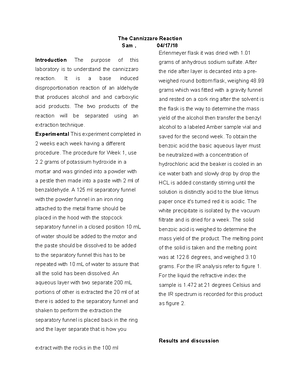 Synthesis of an ester - lab assignment - Synthesis of an ester ...