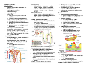 Chapter 10 - Sensory Physiology Notes - CHAPTER 10 – SOMATIC SENSES ...