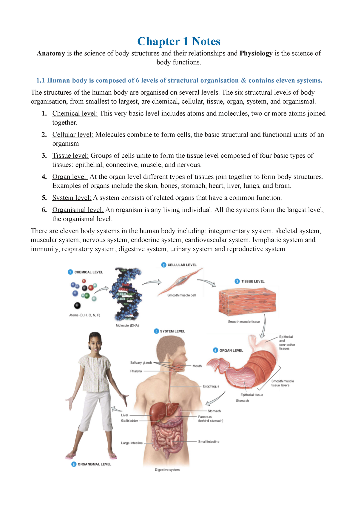 the body summary chapter by chapter