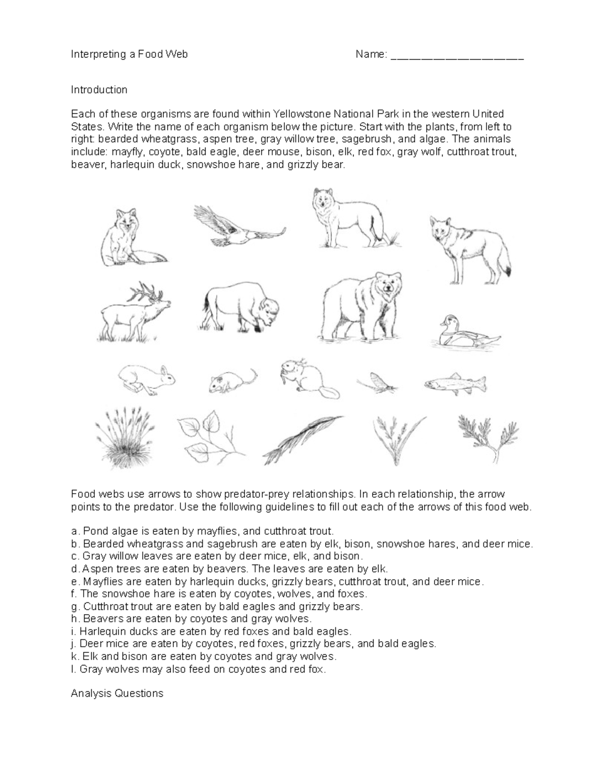 Yellowstone Food web - Interpreting a Food Web Name ...