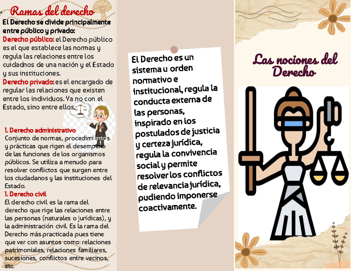 El Derecho Publico Se Divide En