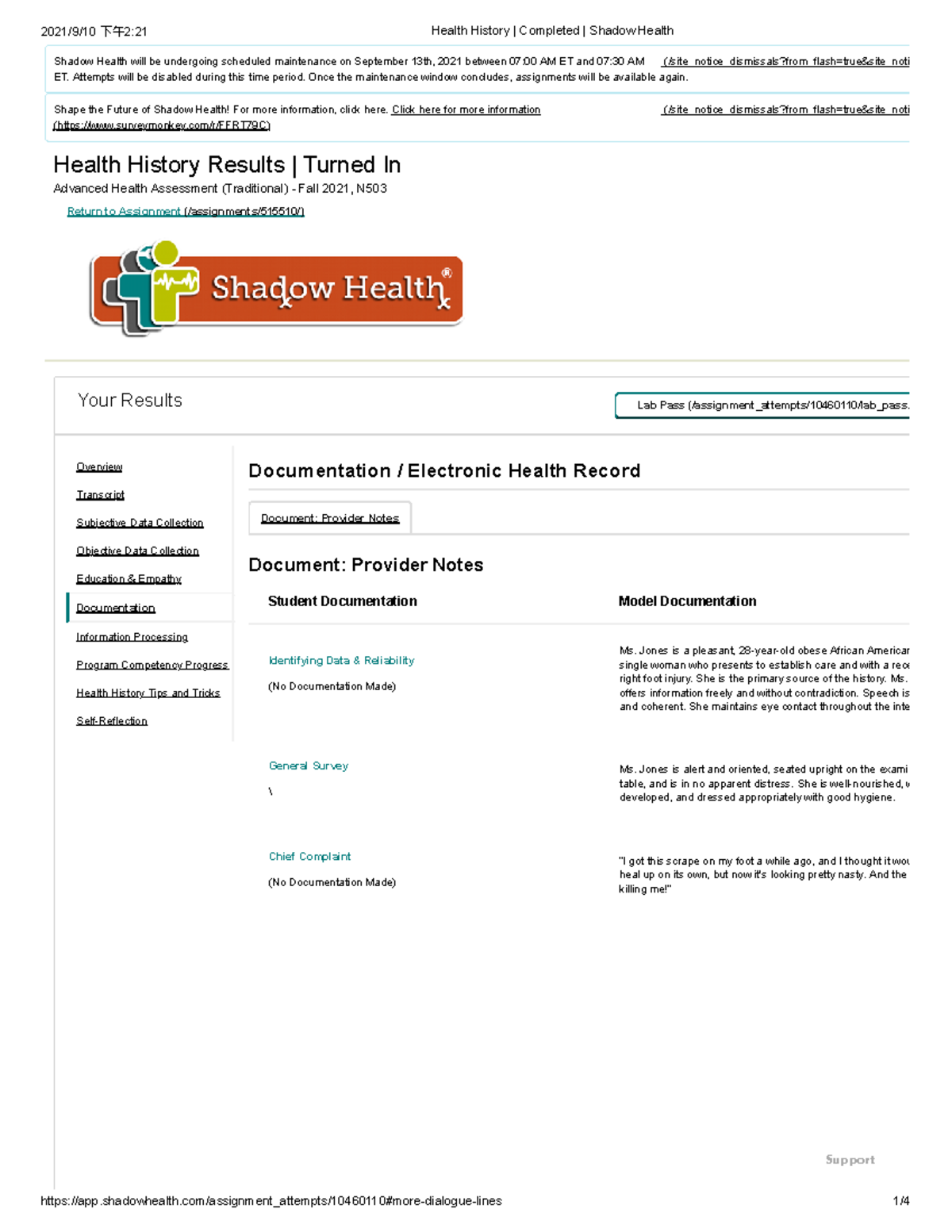 health-history-completed-shadow-health-pdf-history-of-present-illness