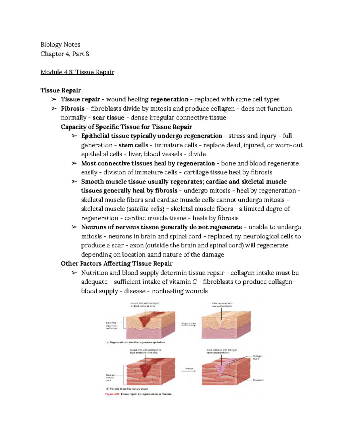 Biology 109 Notes Chapter 4, Part 8 - Biology Notes Chapter 4, Part 8 ...
